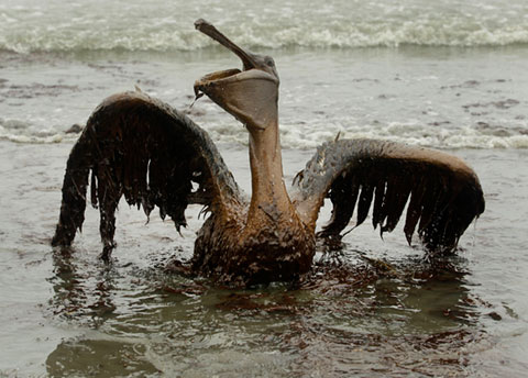 Article - Dramatic Oil Spill - Gallery Launch